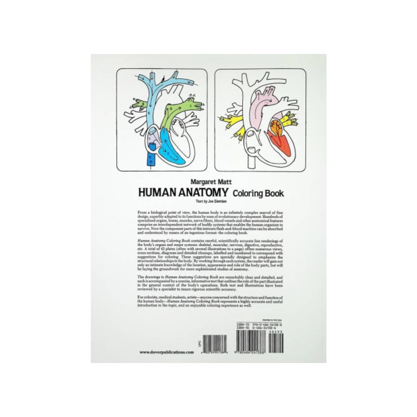 Human Anatomy Colouring Book