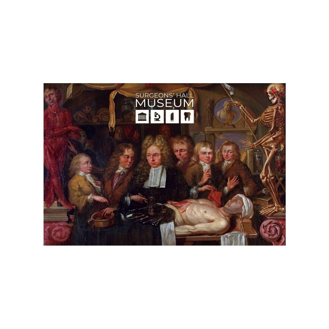 SHM Dissection Aimant de réfrigérateur