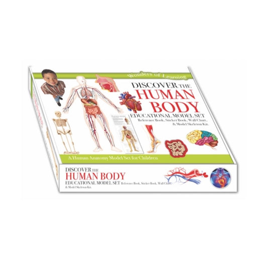 Wonders of Learning Model Set - the Human Body