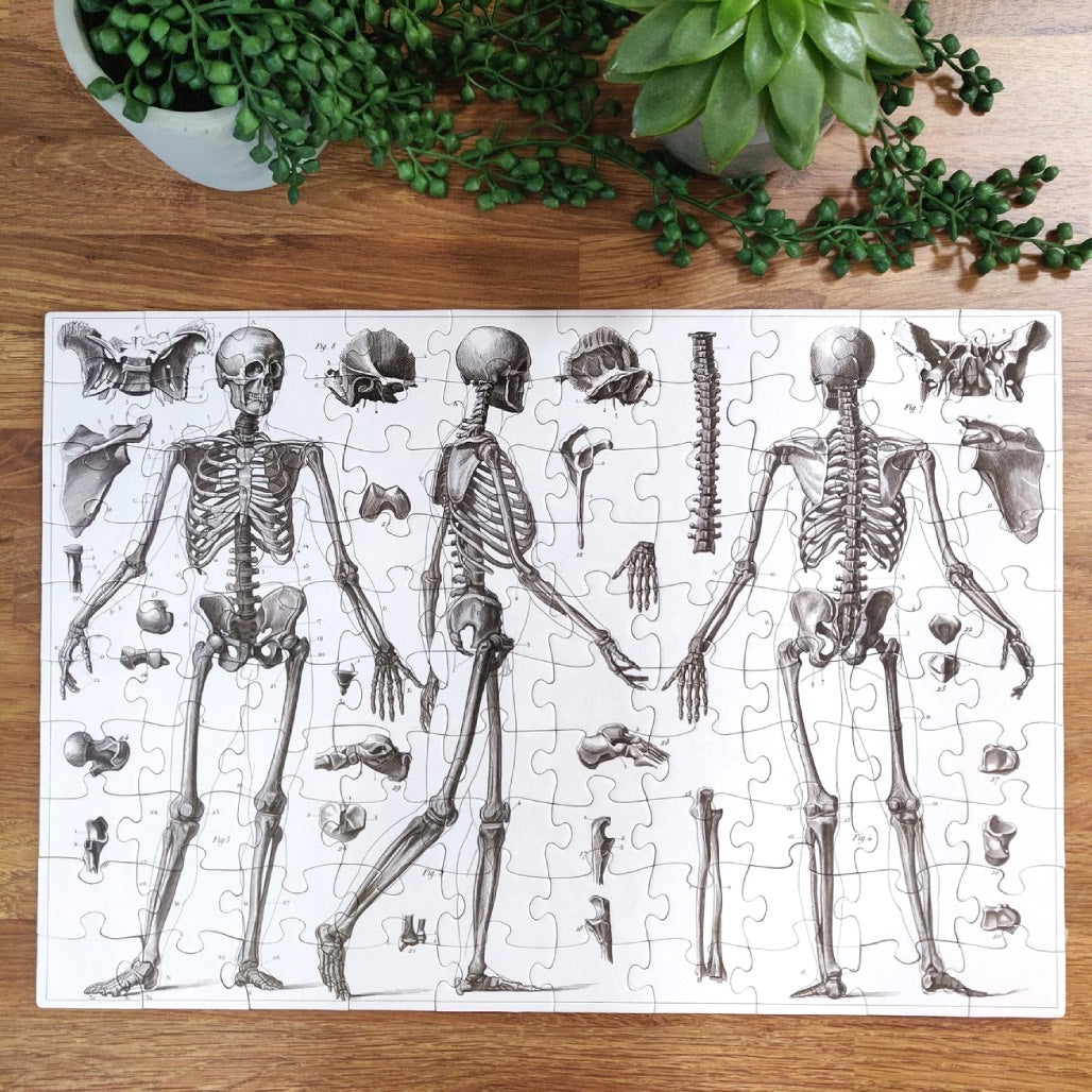 100 Piece Jigsaw - Skeleton