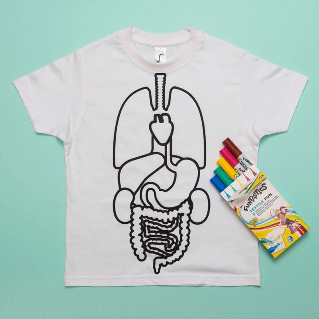 Color A Tee Shirt Discover Your Anatomy