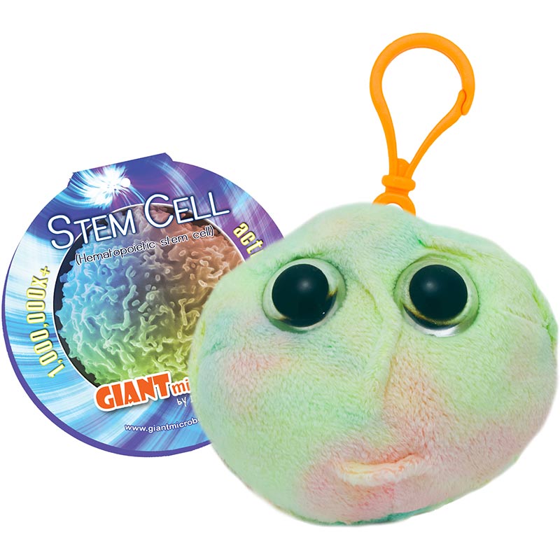 Stem Cell Keyring