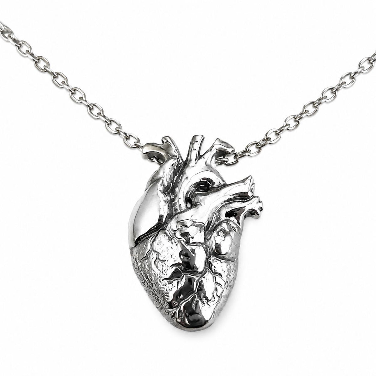 SHM Anatomical Heart Necklace