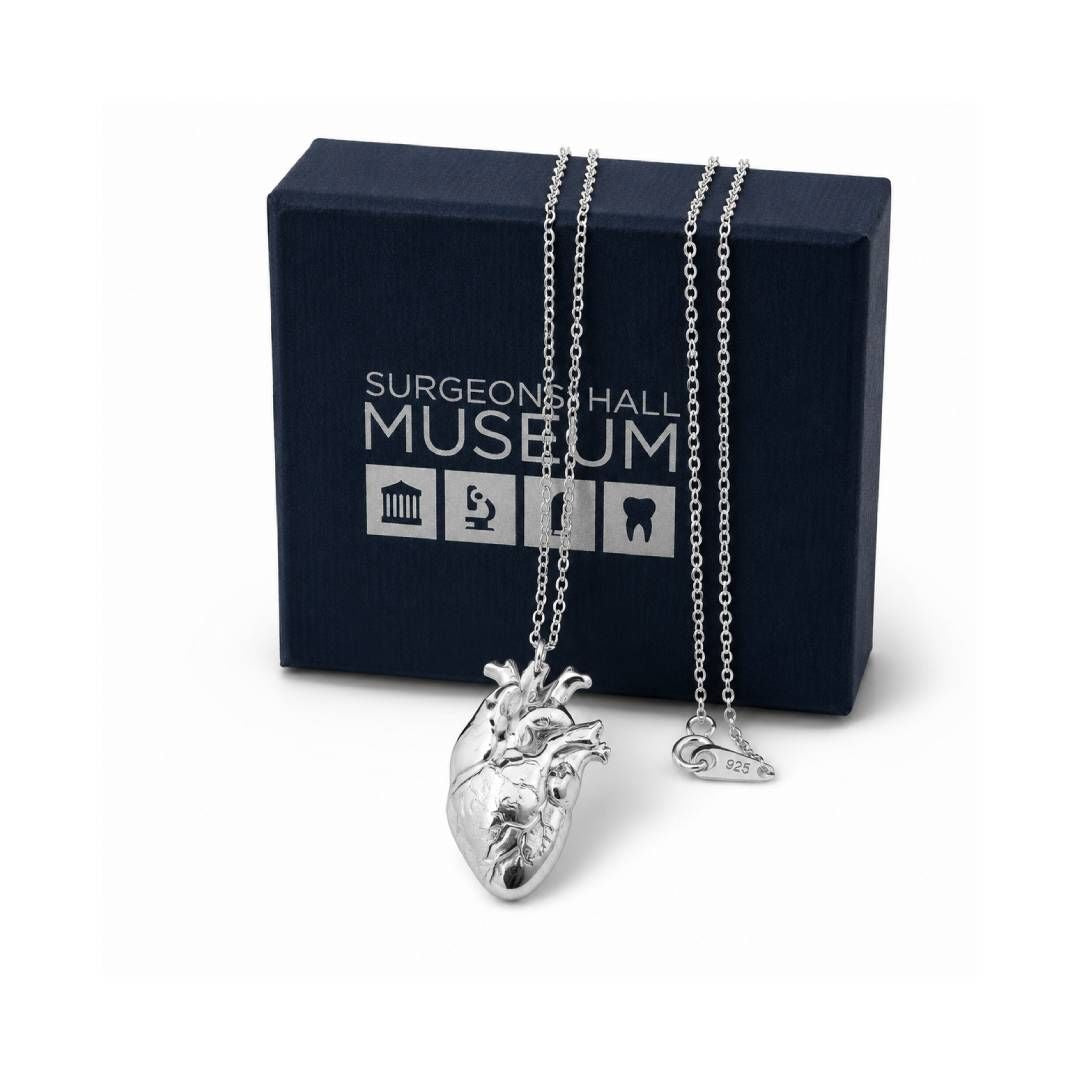 SHM Anatomical Heart Necklace