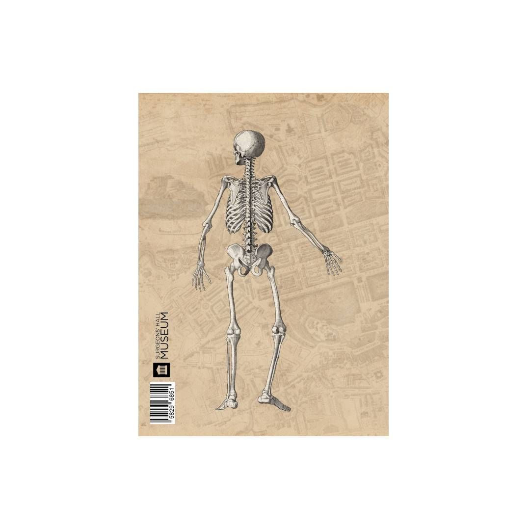 Eustachio Notebook