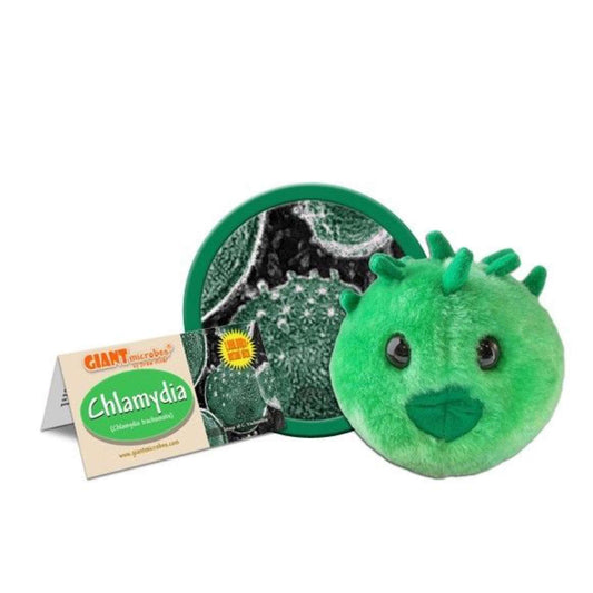Chlamydia