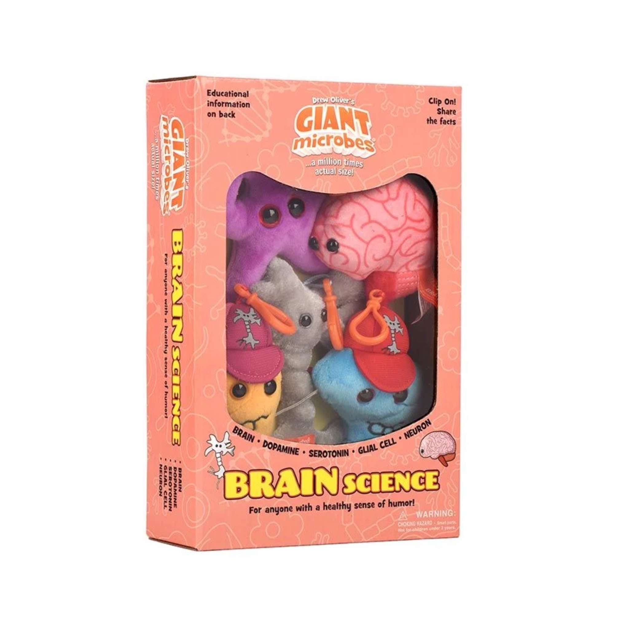 Brain Science Box – Surgeons' Hall Museums Shop