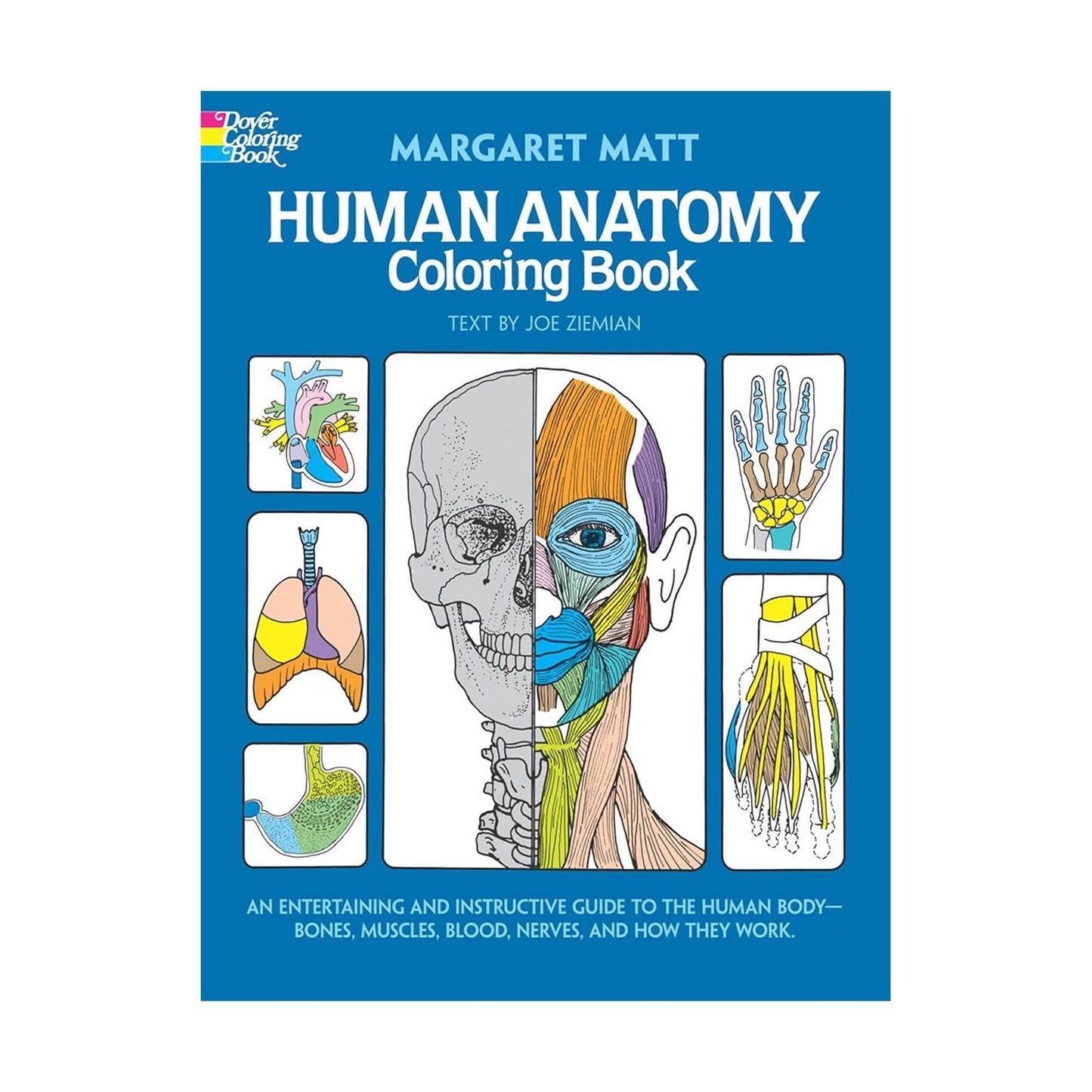 Human Anatomy Colouring Book