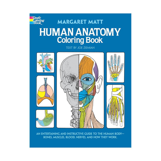 Human Anatomy Colouring Book