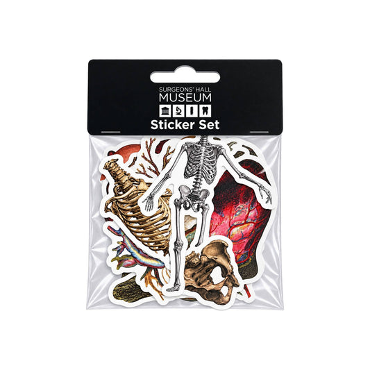 Anatomy Sticker Set