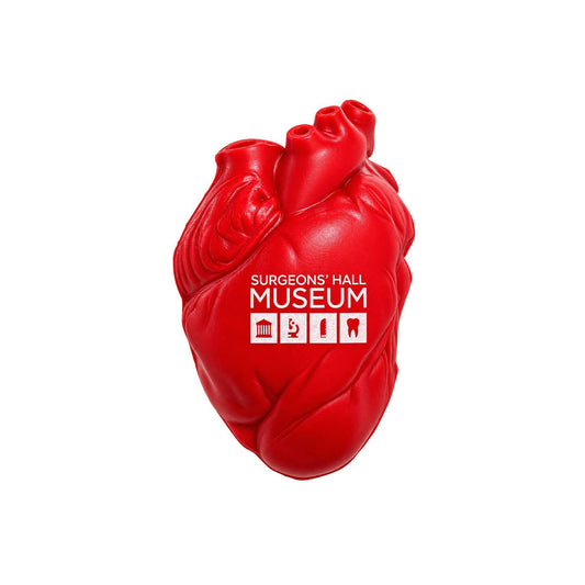 Squishy Human Heart