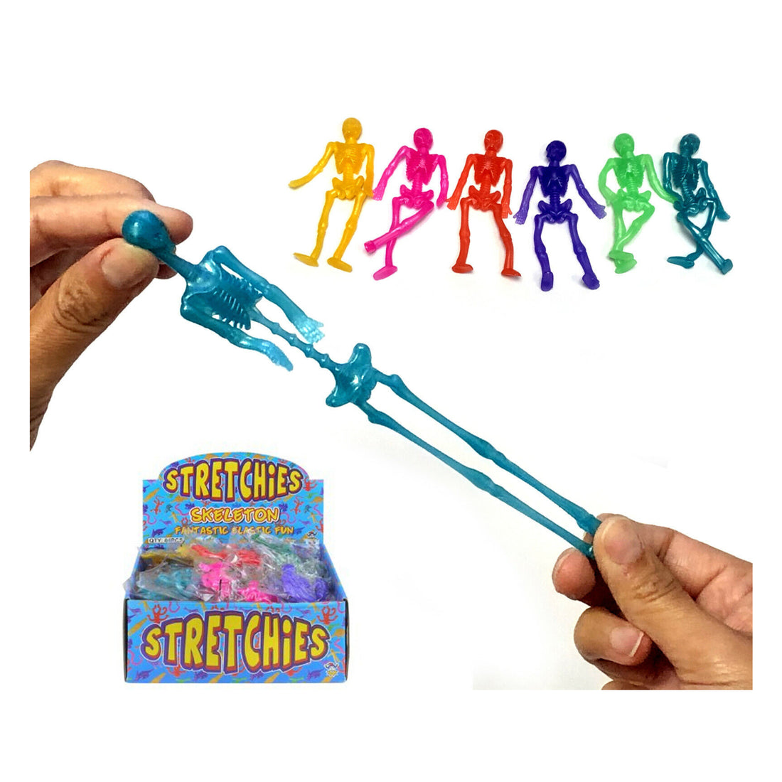 Stretchley Stretchy Skeleton – Surgeons' Hall Museums Shop