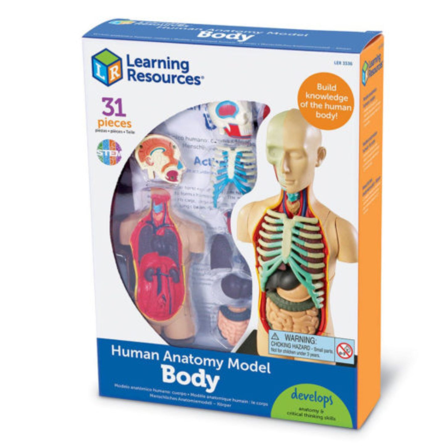 Human Anatomy Model