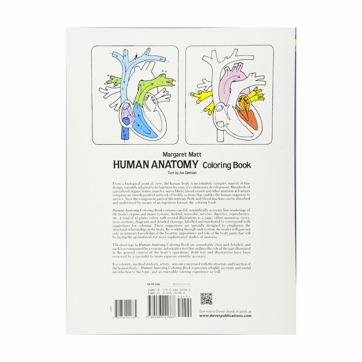 Livre de coloriage d'anatomie humaine