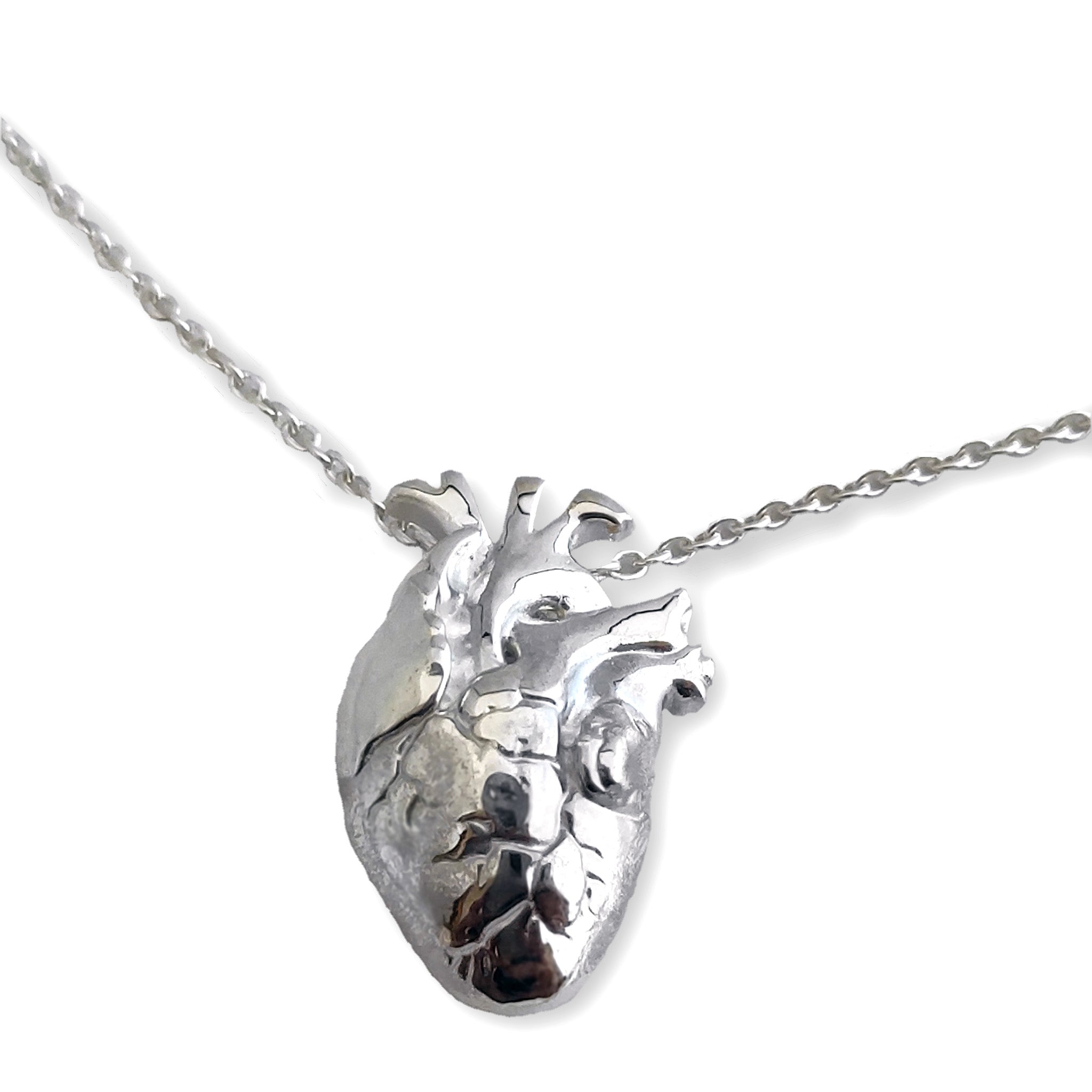 Sterling silver anatomical deals heart necklace