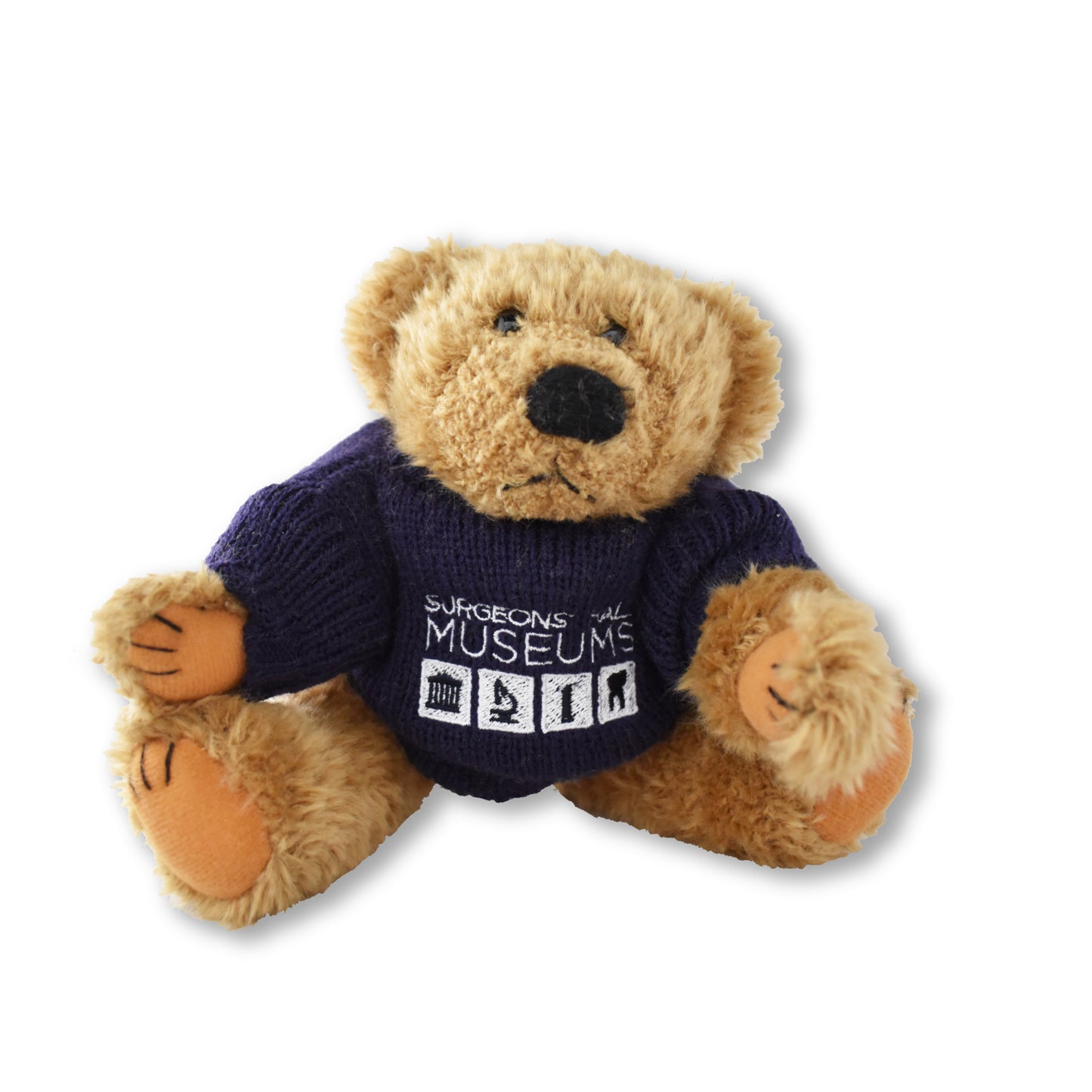 George the Teddy Bear